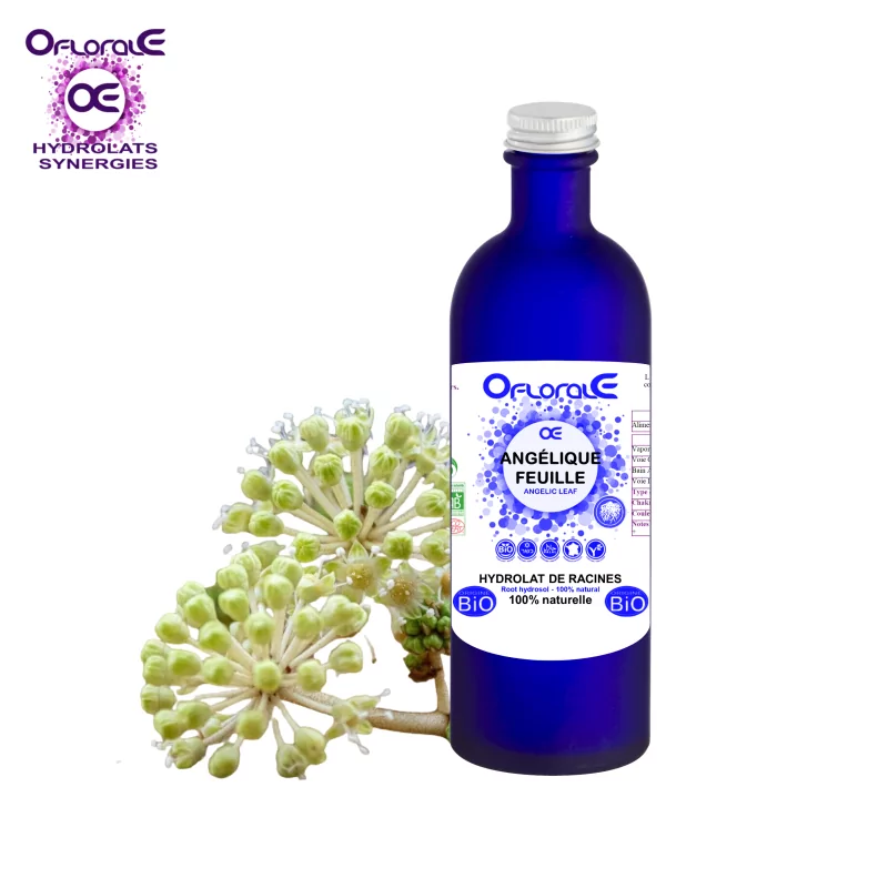 Angélique feuille, Hydrolat (Angelica archangelica) - OFLORALE