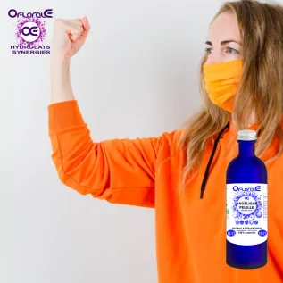 Angelikablatt Herkunft BiO*, Hydrosol (Angelica archangelica) – OFLORALE