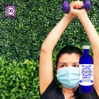 Angélique feuille BiO, Hydrolat (Angelica archangelica) - OFLORALE