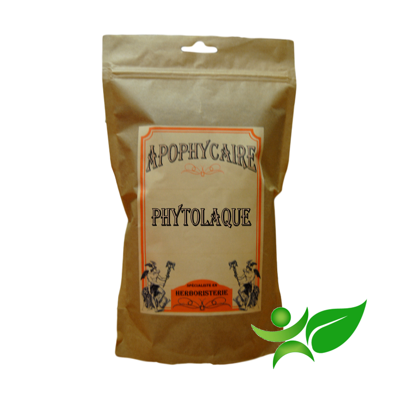 PHYTOLAQUE, Partie aérienne (Phytolacca decandra) - Apophycaire