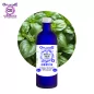 Basilikum feuille à linalol Herkunft BiO*, Hydrolat (Ocimum basilicum) – OFLORAL