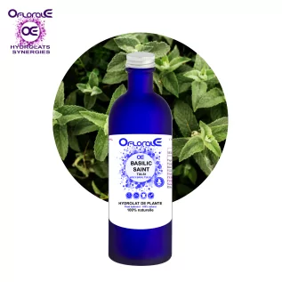 Hoja de albahaca santa - Tulsi, Hidrolato (Ocimum sanctum) - OFLORALE