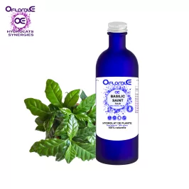 Kutsal fesleğen yaprağı - Tulsi, Hydrolate (Ocimum sanctum) - OFLORALE