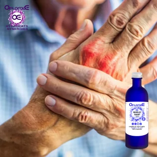 Hoja de albahaca santa - Tulsi, Hidrolato (Ocimum sanctum) - OFLORALE