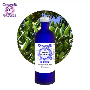 Lorbeerblatt des Heiligen Thomas, Hydrolat (Pimenta Racemosa) – OFLORALE