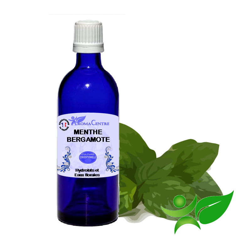 Menthe bergamote, Hydrolat (Mentha citrata) - Aroma Centre