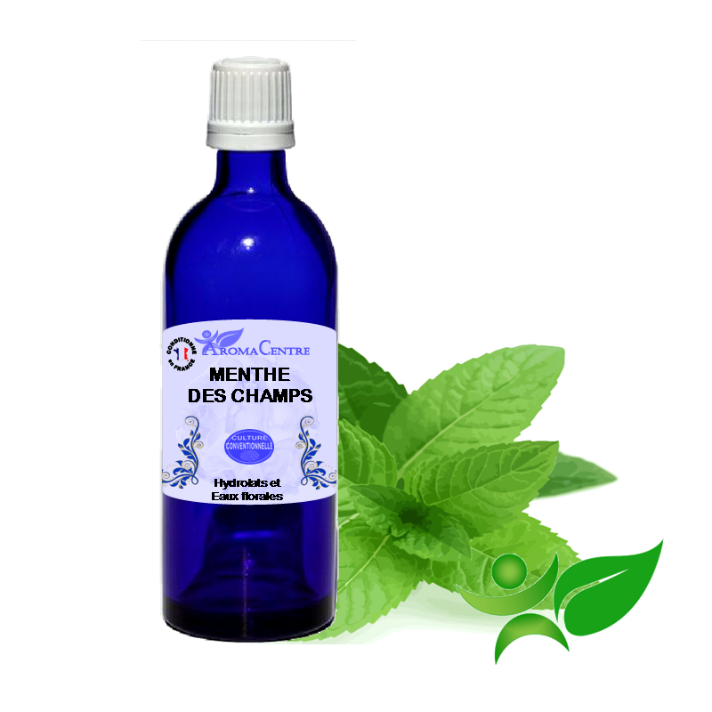 Menthe des champs, Hydrolat (Mentha arvensis) - Aroma Centre