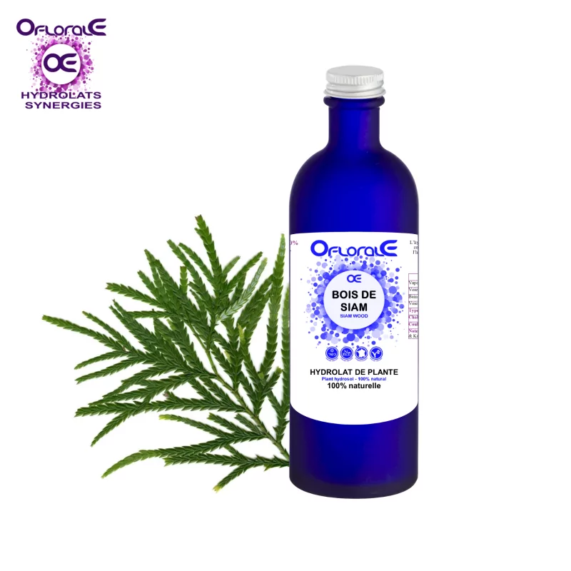 Bois de Siam, Hydrolat (Fokienia hodgensii) - OFLORALE Bois de Siam, Hydrolat (Fokienia hodgensii) - OFLORALE