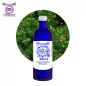 Cèdre de l'Himalaya, Hydrolat (Cedrus deodora) - OFLORALE