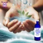 Cèdre de l'Himalaya, Hydrolat (Cedrus deodora) - OFLORALE