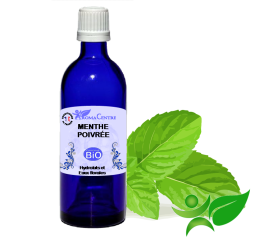 Menthe poivrée BiO, Hydrolat (Mentha piperita) - Aroma Centre