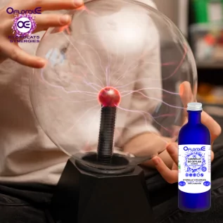 Corteza de canela de Ceilán BiO, hidrolato (Cinnamomum zeylanicum) - OFLORALE