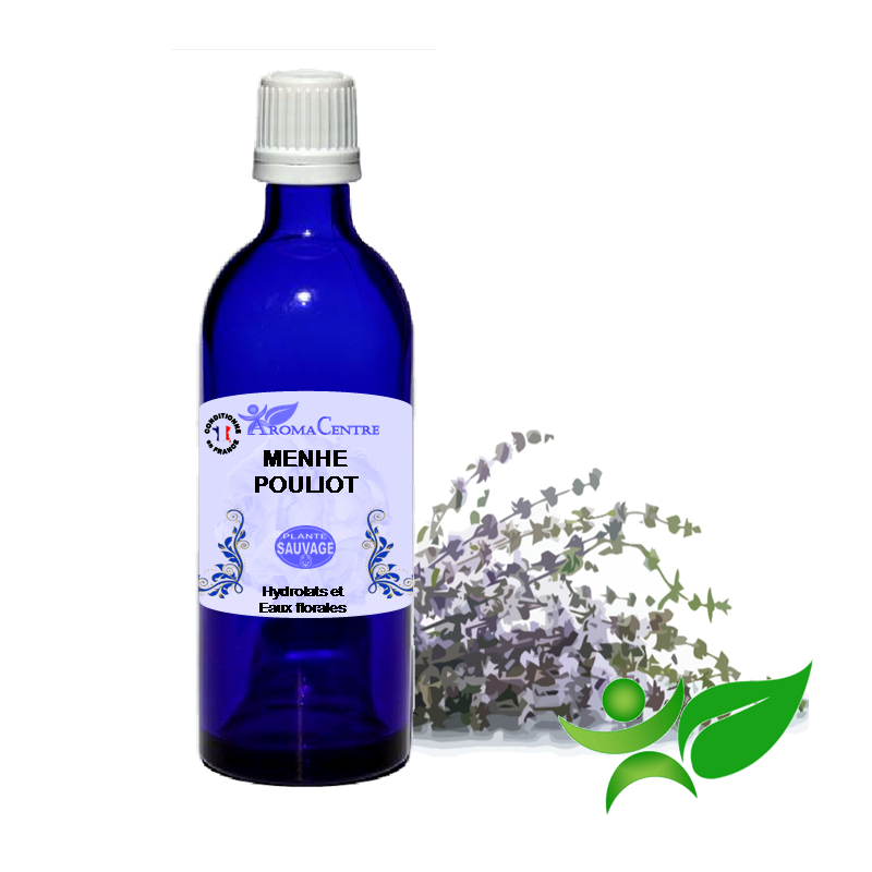 Menthe verte Nanah, Hydrolat (Mentha spicata nanah) - Aroma Centre