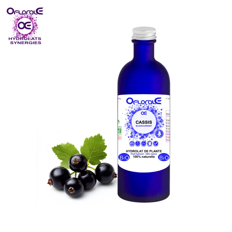 Schwarzes Johannisbeerblatt Herkunft BiO*, Hydrolat (Ribes nigrum) – OFLORALE Schwarzes Johannisbeerblatt Herkunft BiO*, Hydrolat (Ribes nigrum) – OFLORALE