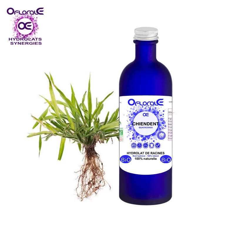 Quackgrass-Rhizom Herkunft BiO*, Hydrosol (Triticum reperus) – OFLORALE