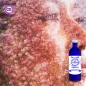 Ciste ladaniferus Origin BiO*, Hydrolat (Cistus ladaniferus) - OFLORALE