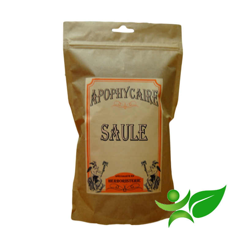 SAULE, Feuille (Salix purpurea, daphnoïdes et fragilis) - Apophycaire