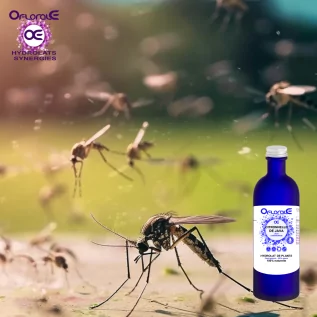 Java limon otu yaprağı, Hydrosol (Cymbopogon Winterianus) - OFLORALE