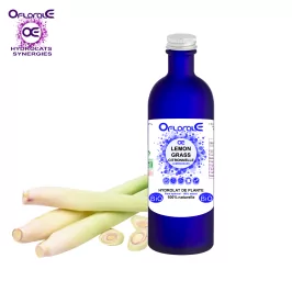 Zitronengras (Lemongrass) oberirdischer Teil BiO (Cymbopogon flexuosus) - OFLORALE