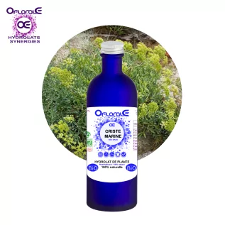 Marine fennel aerial part BiO, Hydrolat (Crithmum maritimum) - OFLORALE