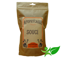 SOUCI - CALENDULA, Pétale (Calendula officinalis) - Apophycaire