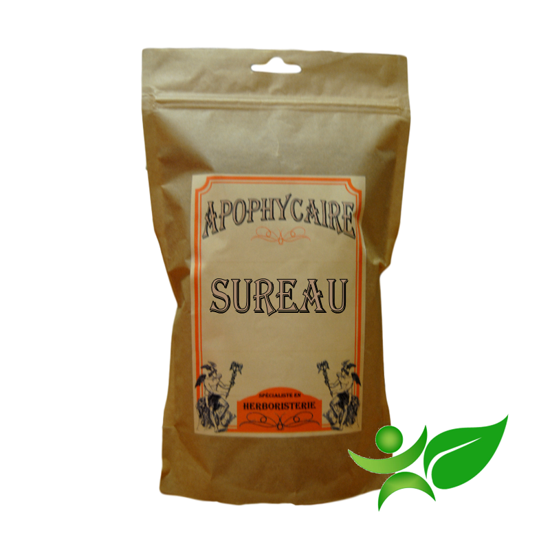 SUREAU BiO, Fleur (Sambucus nigra) - Apophycaire