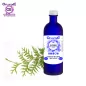 Cypress branches BiO, Hydrolate (Cupressus sempervirens) - OFLORALE