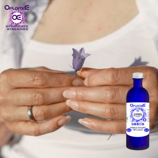 Cypress branches BiO, Hydrosol (Cupressus sempervirens) - OFLORALE