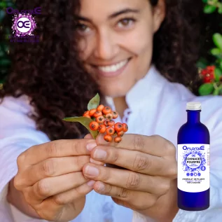 Raíz de Equinácea, Hidrolato (Echinacea purpurea) - OFLORALE