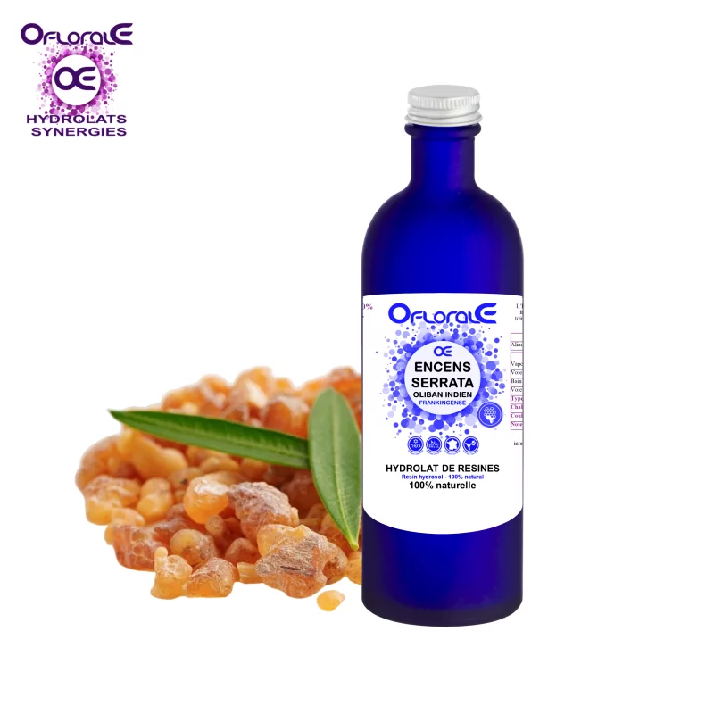 Incense serrata resin, Hydrosol (Boswellia serrata) - OFLORALE Incense serrata resin, Hydrosol (Boswellia serrata) - OFLORALE