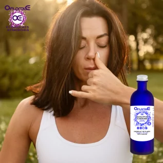 Cryptone Okaliptüs, Hidrolat (Okaliptüs polybractea kripton) - OFLORALE