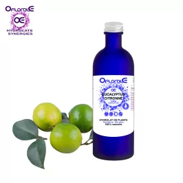 Zitronen-Eukalyptus, Hydrosol (Eucalyptus citriodora) – OFLORALE