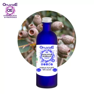 Okaliptüs yaprağı BiO, Hidrosol (Eucalyptus globulus) - OFLORALE