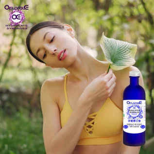 Eukalyptusblatt BiO, Hydrolat (Eucalyptus globulus) – OFLORALE