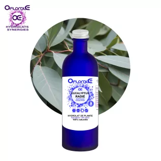 Yayılan Okaliptüs, Hydrolat (Okaliptüs radiata) - OFLORALE