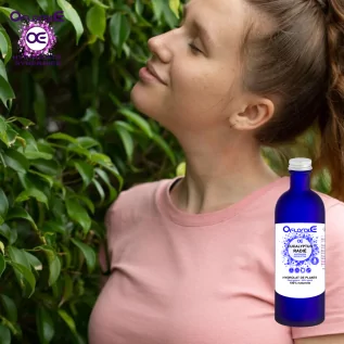 Strahlender Eukalyptus, Hydrolat (Eucalyptus radiata) - OFLORALE