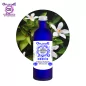 Orangenblüte Herkunft BiO* – Neroli, Hydrolat (Citrus aurantium aur.) – OFLORALE