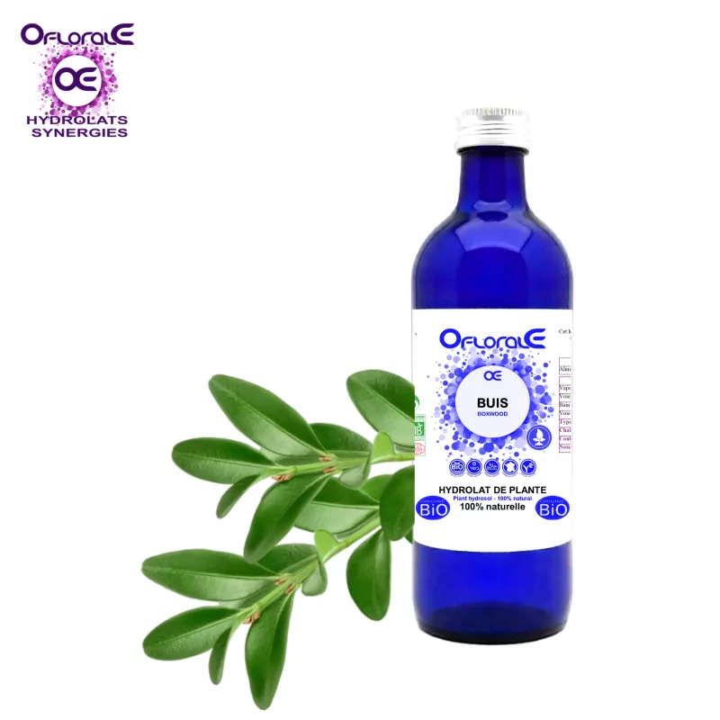 Buis feuille, Hydrolat (Buxus sempervirens) - OFLORALE