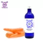 Carrot seed, Hydrosol (Daucus carotta) - OFLORALE