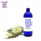 Eucalyptus Smithii, Hydrosol (Eucalyptus smithii) - OFLORALE