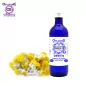 Italian Helichrysum flower hydrosol Organic Origin (Helichrysum italicum) benefits and properties - OFLORALE