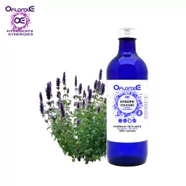 Hyssop plant, Hydrosol (Hyssopus off. decumbens) - Oflorale