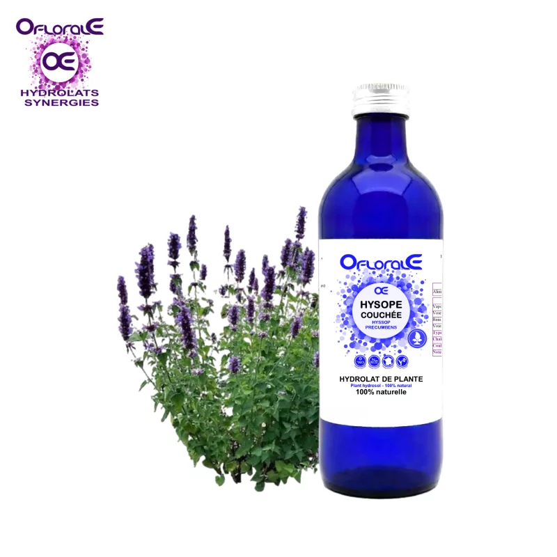 Hyssop plant, Hydrosol (Hyssopus off. decumbens) - Oflorale