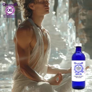 Planta de hisopo tumbado, Hidrosol (Hyssopus off. decumbens) - Oflorale