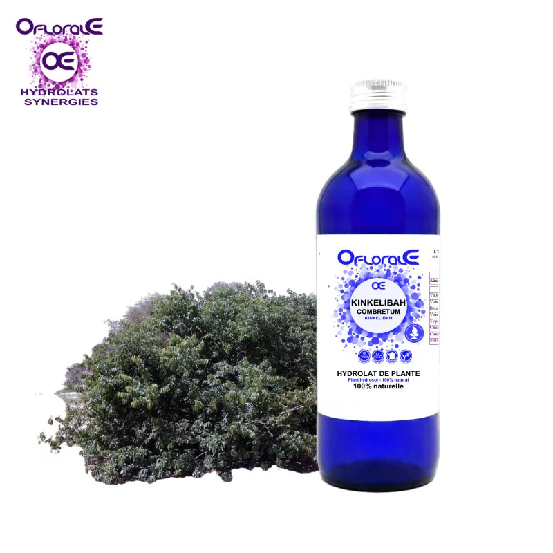 Hoja de Kinkeliba, Hidrolato (Combretum raimbaultii) - Oflorale Hoja de Kinkeliba, Hidrolato (Combretum raimbaultii) - Oflorale