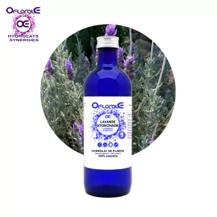 Lavande Stoechade plante, Hydrolat (Lavandula stoechas) - Oflorale