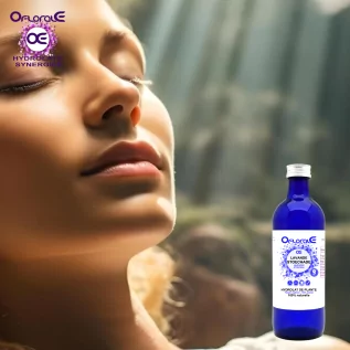 Lavendel-Stoechade-Pflanze, Hydrolat (Lavandula stoechas) – Oflorale