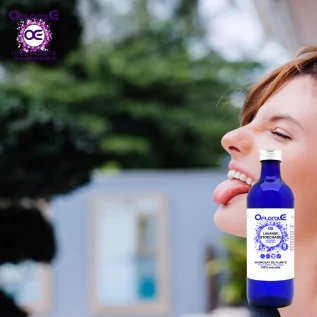 Lavendel-Stoechade-Pflanze, Hydrolat (Lavandula stoechas) – Oflorale