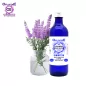 Super sweet lavender Organic* Origin, Hydrosol (Lavandula hybrida) - Oflorale