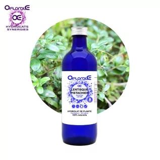 Mastic tree leaf, Hydrosol (Pistacia lentiscus) - Oflorale